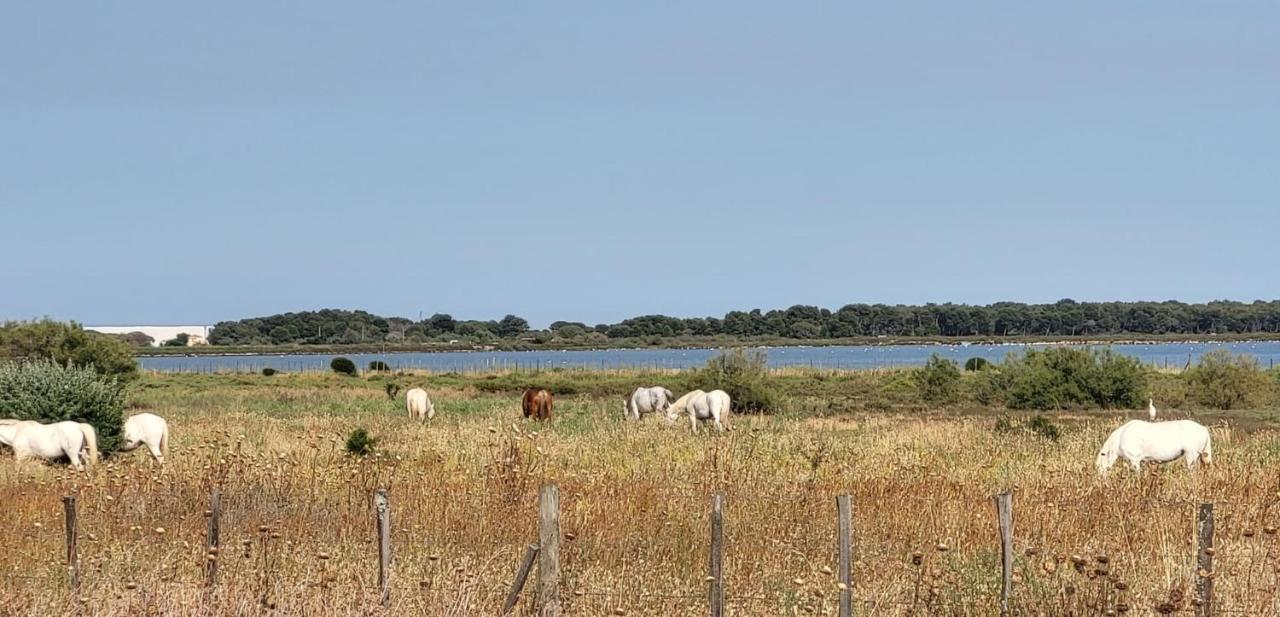 La Cigale De Mer A 100 M De La Plage Et Du Centre Ville Du Grau Du Roi เลอ โกร-ดู-รัว ภายนอก รูปภาพ